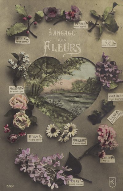 El lenguaje de las flores de French Photographer